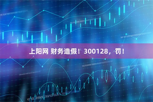 上阳网 财务造假！300128，罚！